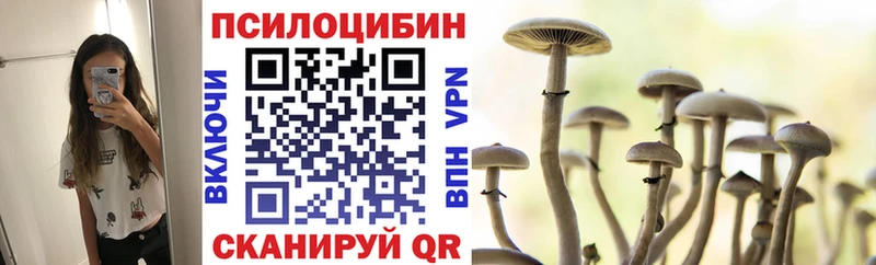 как найти закладки  Алушта  Псилоцибиновые грибы Magic Shrooms 